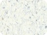 59277121-1